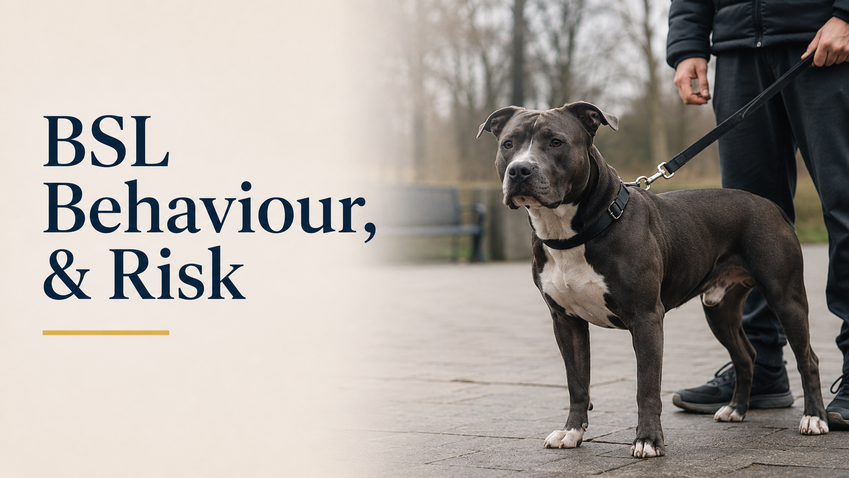 BSL, Behaviour and Household Risk: What the Evidence Actually Says