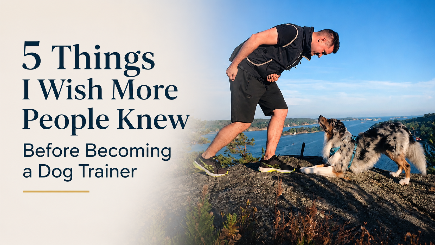 5 things I WISH more people knew before becoming a dog trainer…