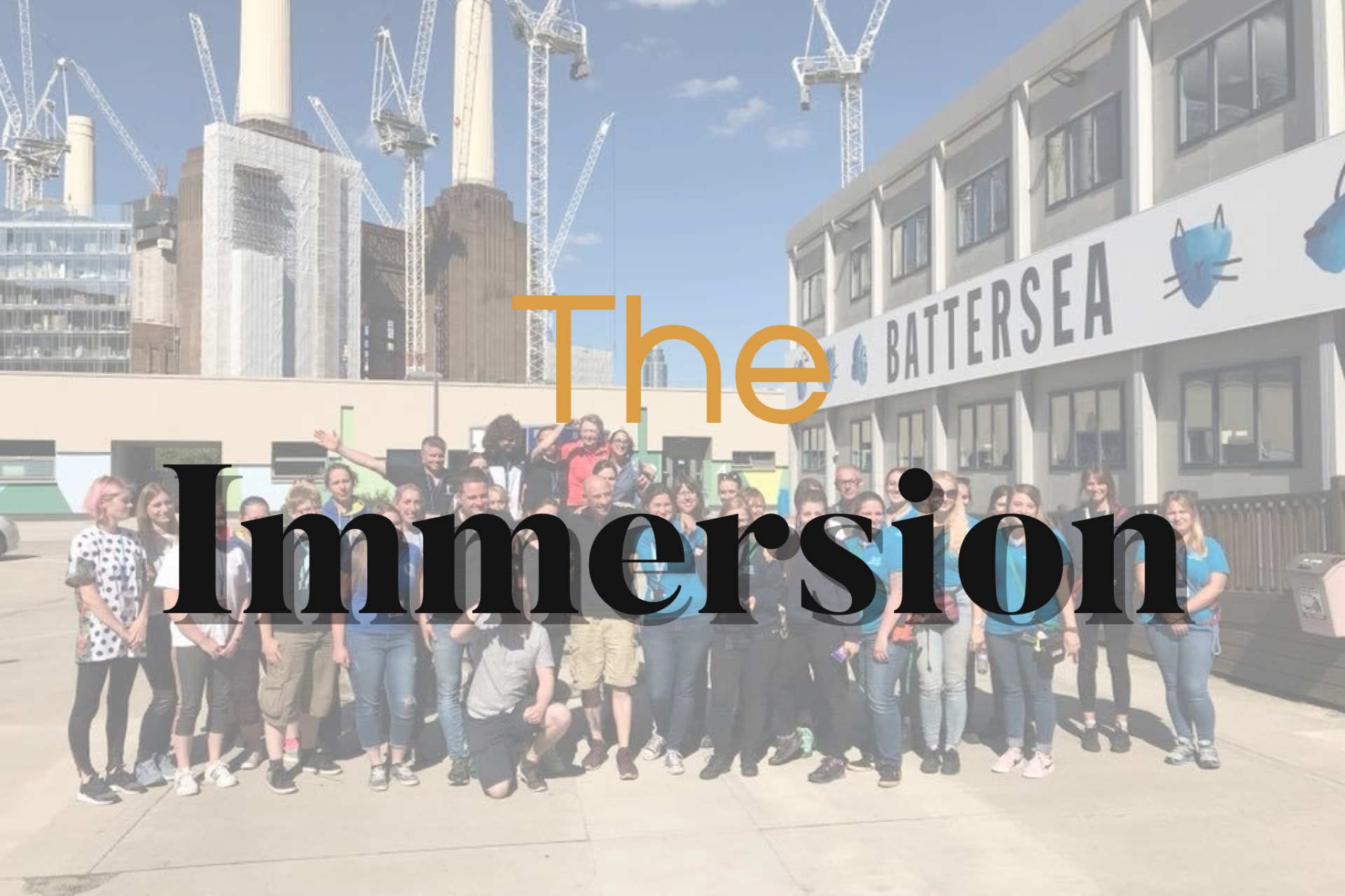 Practical Dog Trainer Immersion