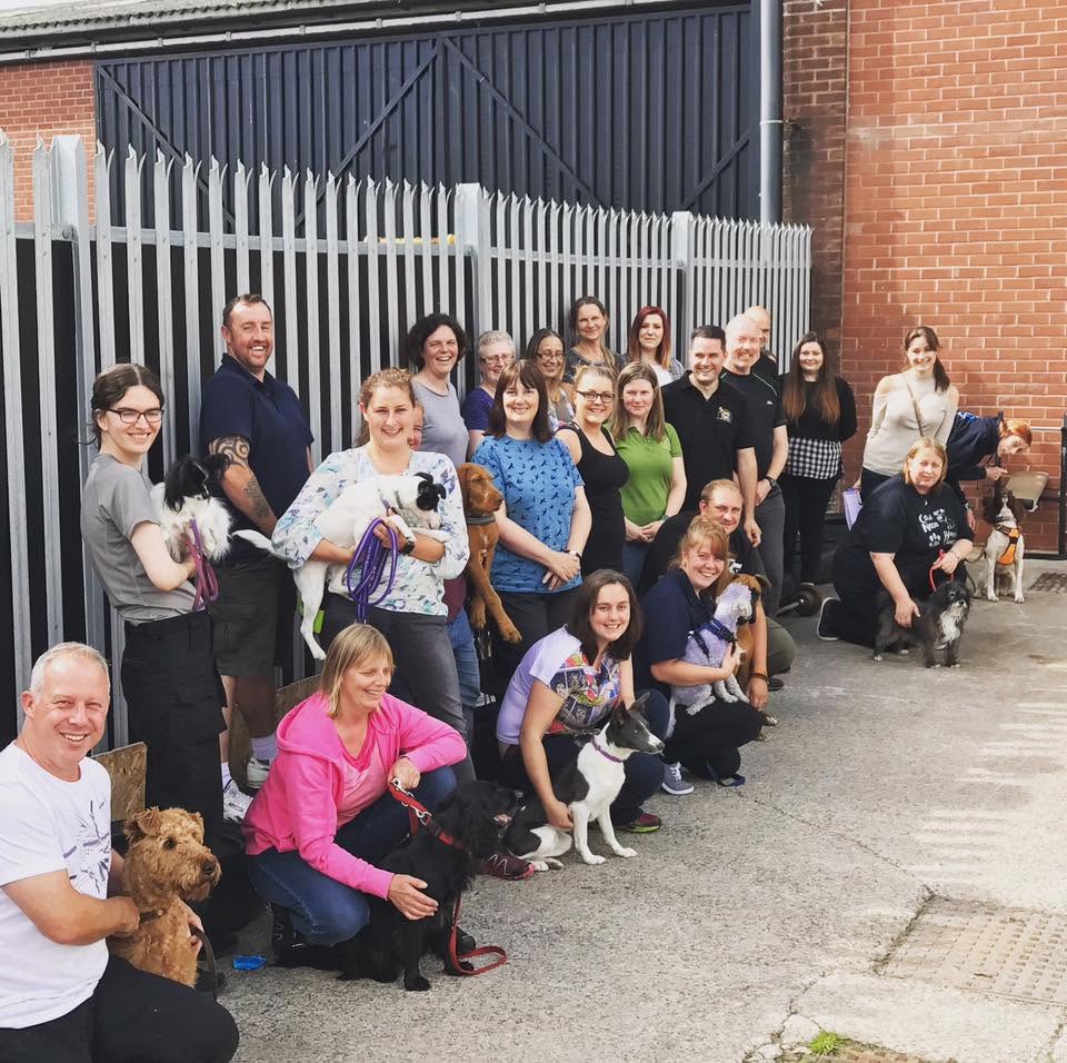 Course group with their dogs at a practical training venue