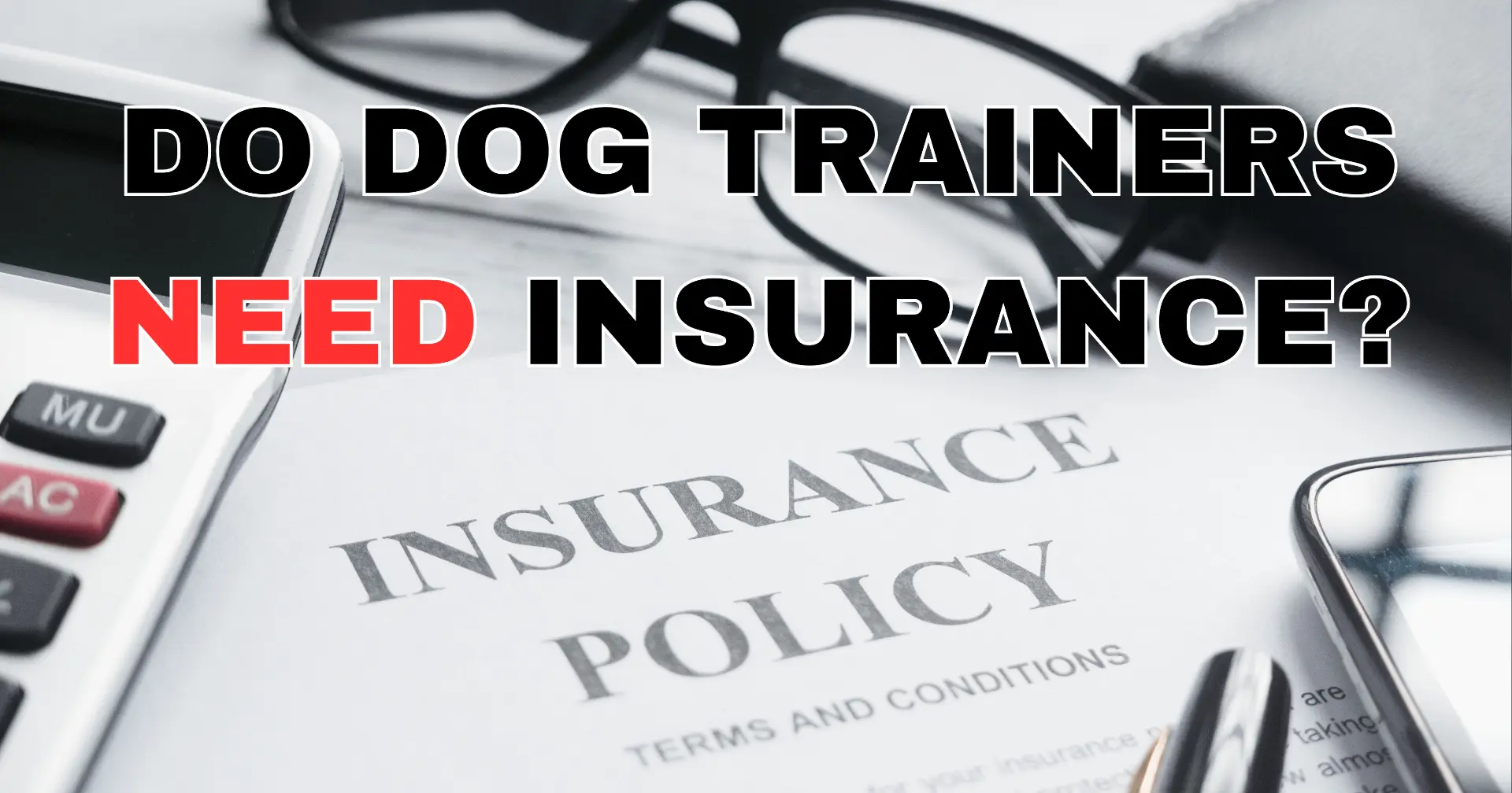 Do I Need Insurance to Be a Dog Trainer in the UK?
