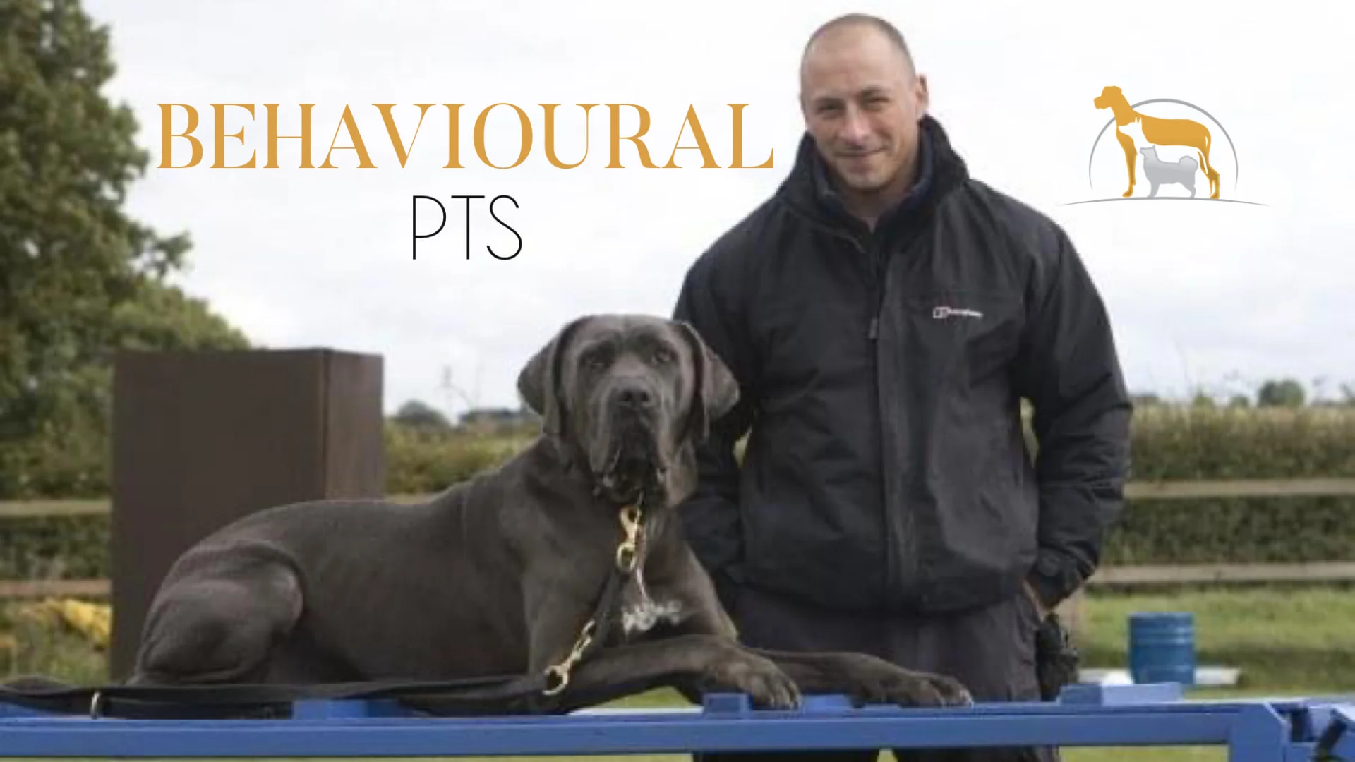 A Veterinary Behaviourist Told Me to Put My Dog to Sleep