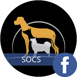 SOCS-social